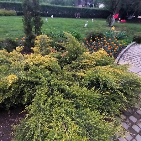 Guesthouse Gostilitsa Zewnętrze zdjęcie