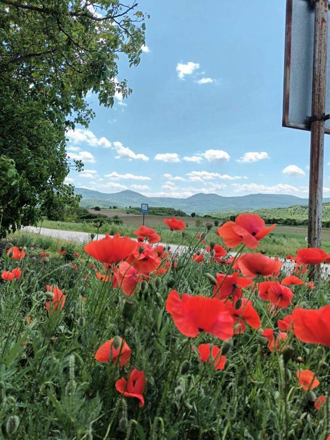 Guesthouse Gostilitsa Zewnętrze zdjęcie