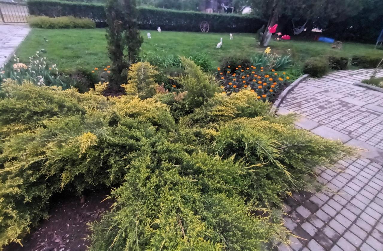 Guesthouse Gostilitsa Zewnętrze zdjęcie