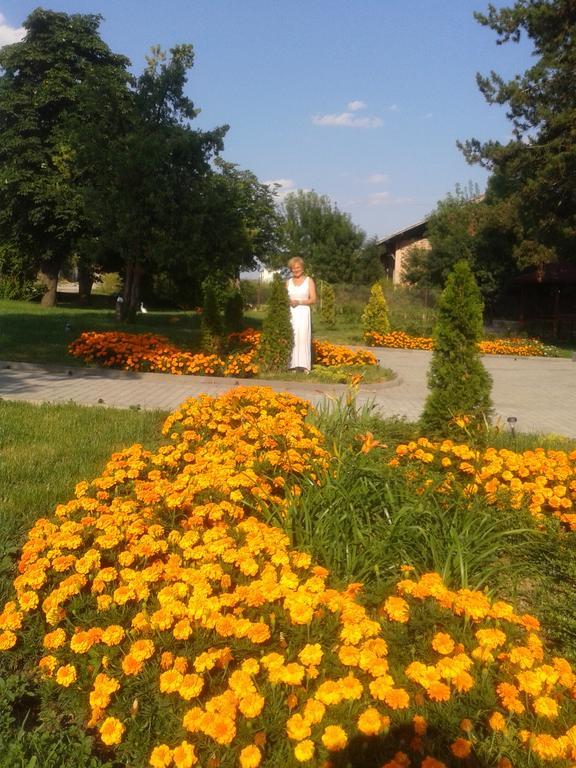 Guesthouse Gostilitsa Zewnętrze zdjęcie